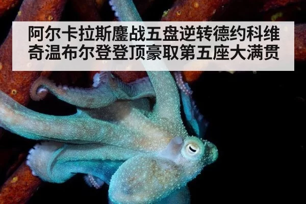 阿尔卡拉斯鏖战五盘逆转德约科维奇温布尔登登顶豪取第五座大满贯
