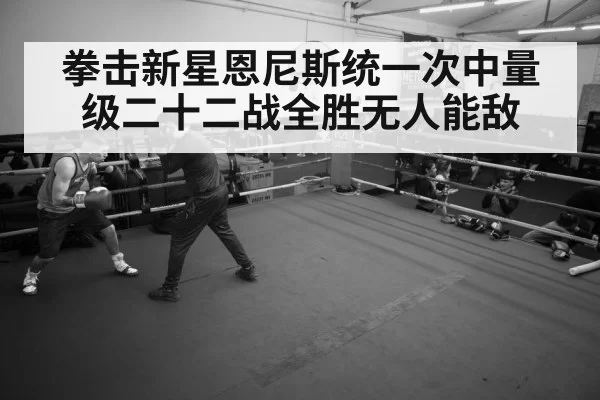 boxer training gym